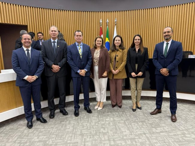 Sindaf na sessão do TCE sobre o parecer prévio das contas do governo SC